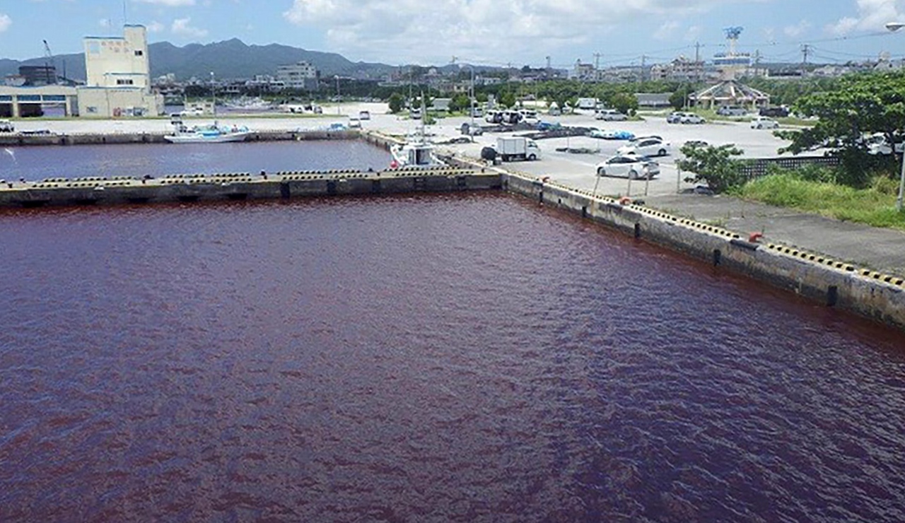 Fuga de refrigerante en cervecería tiñe de rojo una bahía en Japón