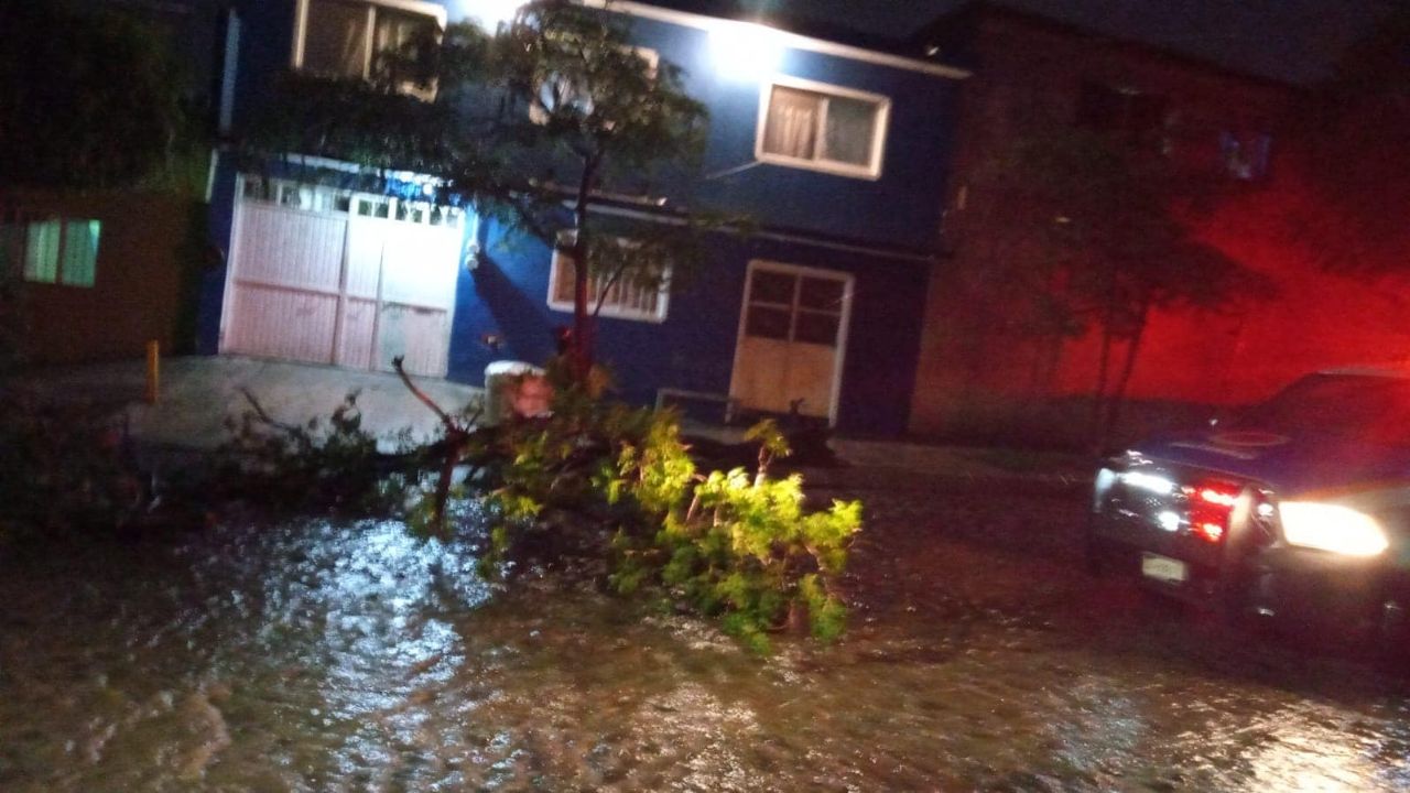 Lluvia en Querétaro causa estragos: Árboles derribados y vehículos atrapados