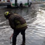 Rescatan a lomito en vías de la L8 del Metro: “Obrero” presenta quemaduras en sus patitas