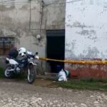 Tigre de bengala ataca a trabajadora de la Profepa en García, Nuevo León