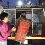 Fuertes lluvias causan daños a la Catedral Metropolitana