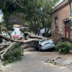 Caen sujetos que asaltaron a chofer de auto en Cuautitlán