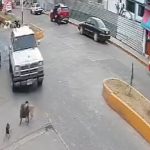 Explosión en peregrinación deja al menos 7 lesionados en Aguascalientes