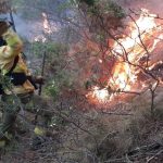 Hay 116 incendios activos en el país; López Obrador confirma 4 muertos