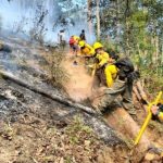 Investigan si incendios forestales son provocados, señala López Obrador