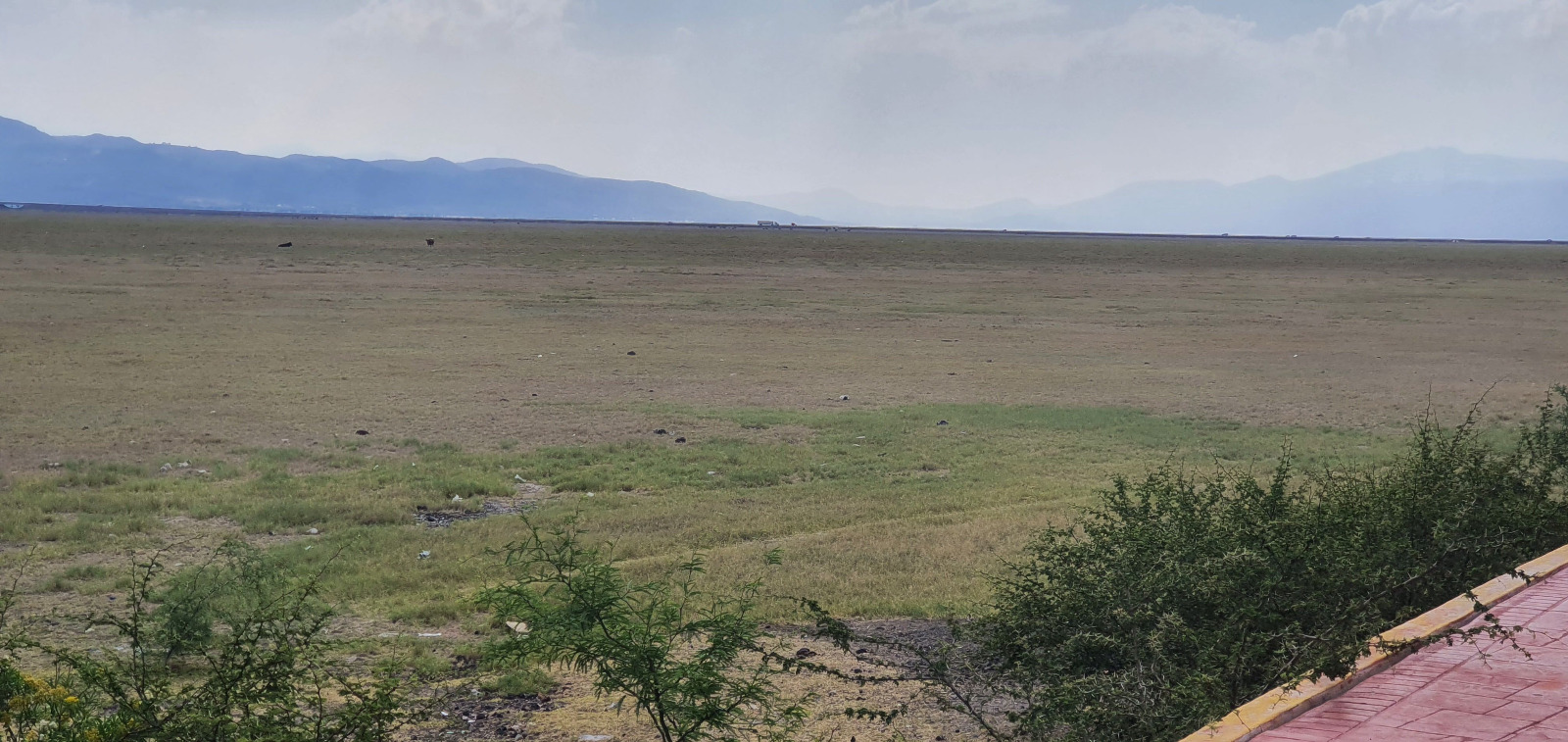 Cuitzeo no está muerto; tiene remedio, como lo tuvo el Lago de Chapala, dicen organizaciones civiles