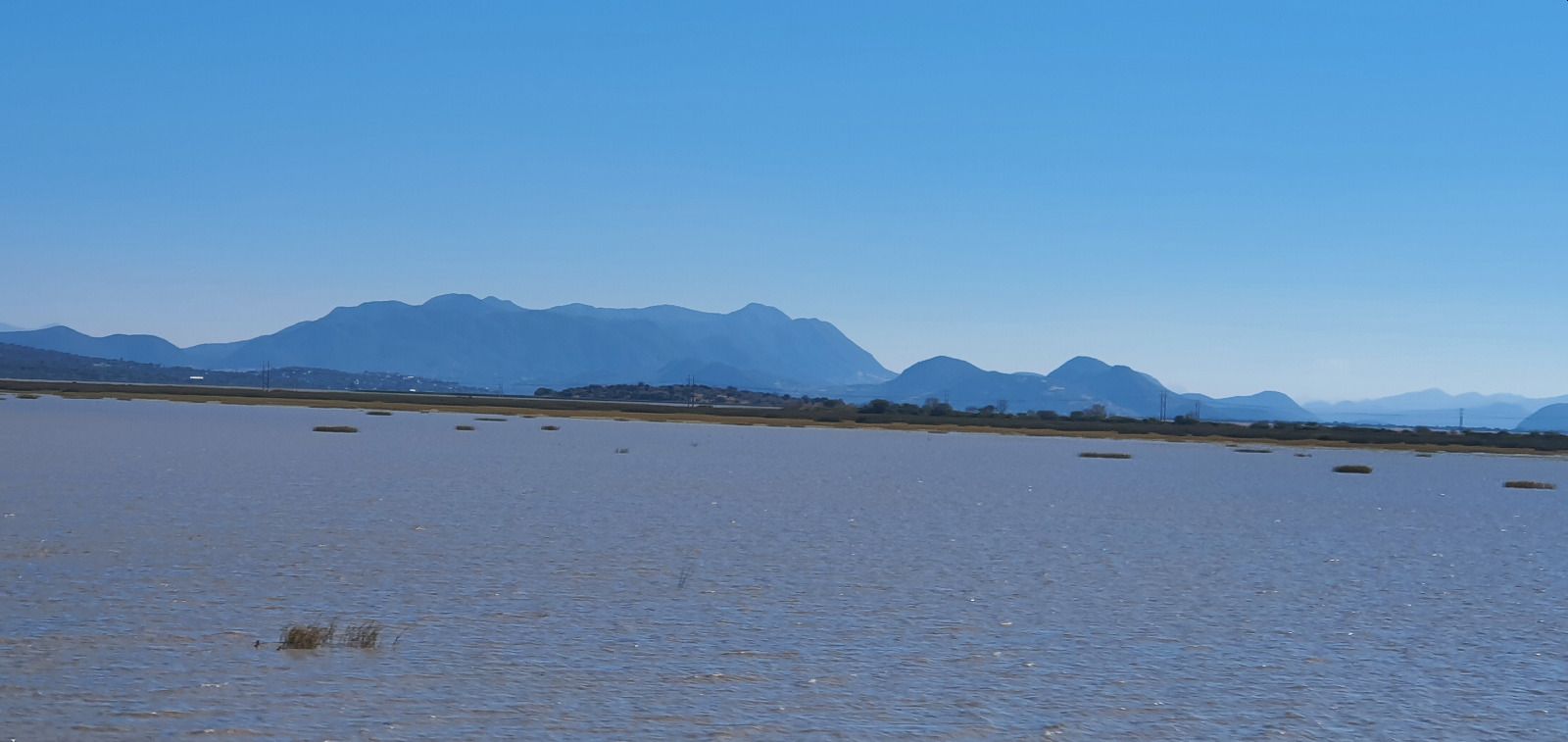 Sólo un Decreto Presidencial como zona de Restauración Ecológica podrá salvar al lago de Cuitzeo