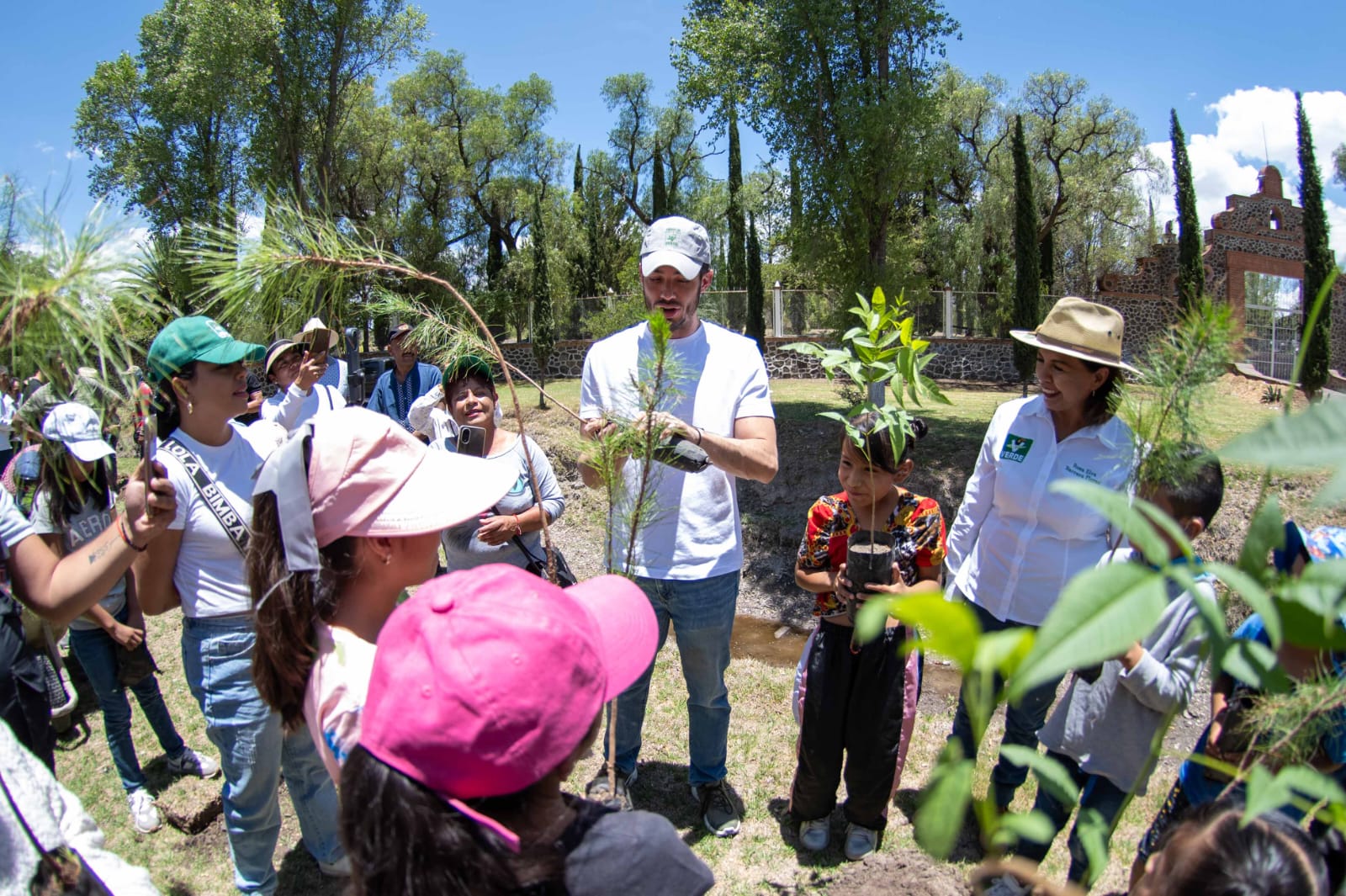 Arranca PVEM gira de agradecimiento y reforestación de más de 700 mil árboles, uno por cada voto obtenido