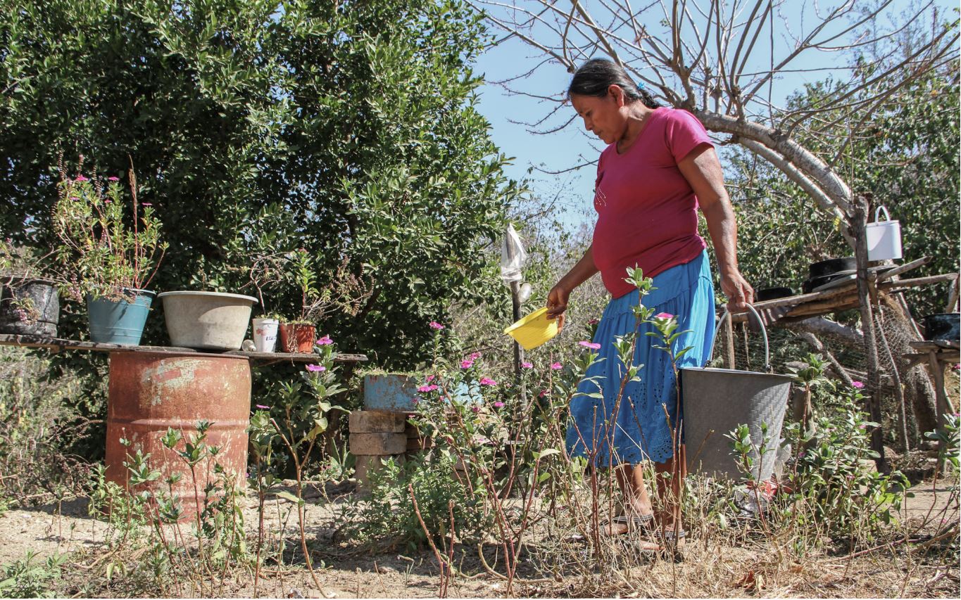 Lanza Rotoplas iniciativa para donar Tinacos a afectados por sequías