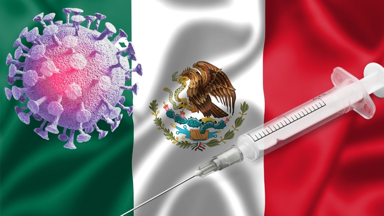 Autoridad sanitaria aprueba vacuna mexicana Patria contra covid-19