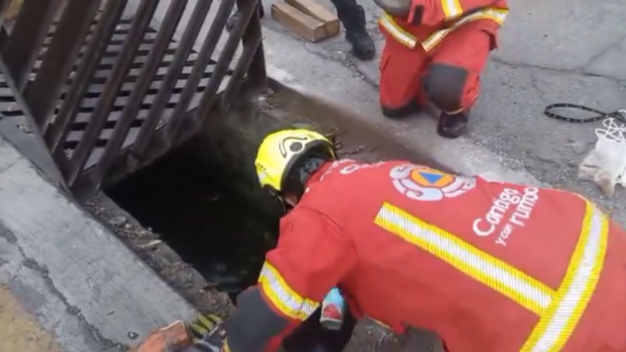 Logran rescatar a perrito atrapado en alcantarilla en Puebla