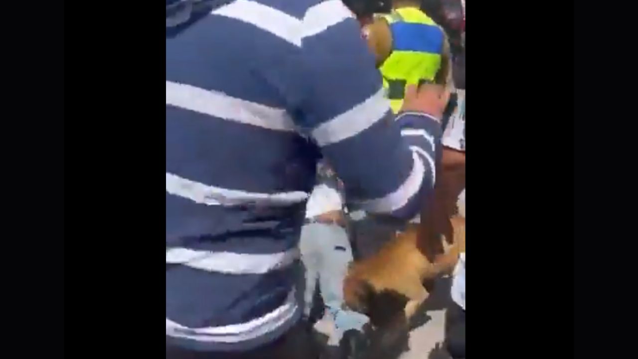 Perrito agarra a mordidas a ladrón que recibió paliza en Tecámac