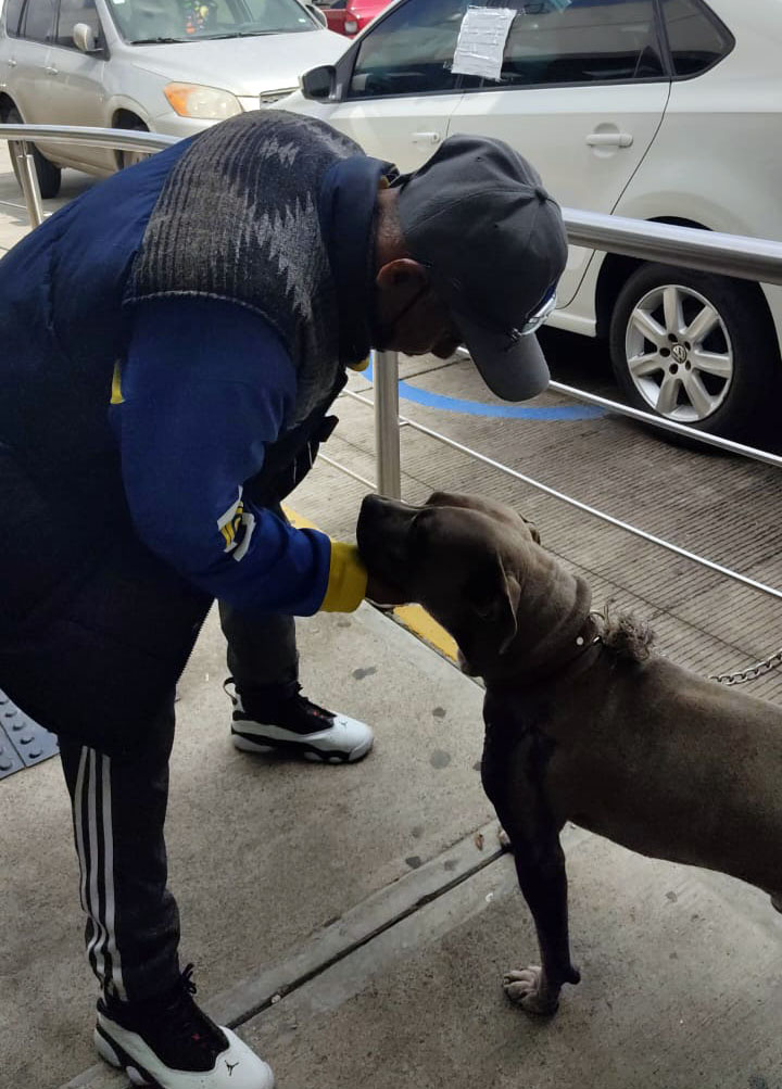 Lo atacó su padrastro con un puñal e hirió a su perro