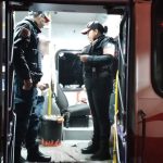 Cientos de sapos invaden carretera a Celestún en Yucatán antes de “Beryl”