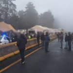 Cachorro de tigre deambula por calles de Durango