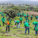 Barefoot consigue llegar a la meta de la campaña ‘Deja tu Huella’ con más de 230 mil interacciones