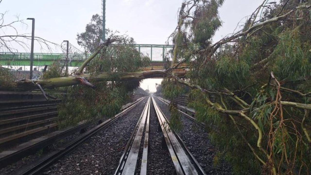 Suspenden servicio de la Línea B por árboles caídos sobre las vías