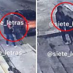 Muere un caballo a plena calle en Tamaulipas; el tercero en menos de un mes