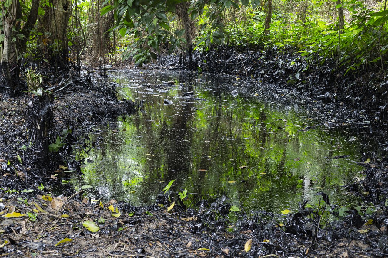 Por contaminación  de petróleo, exigen justicia indígenas de Veracruz y ambientalistas  