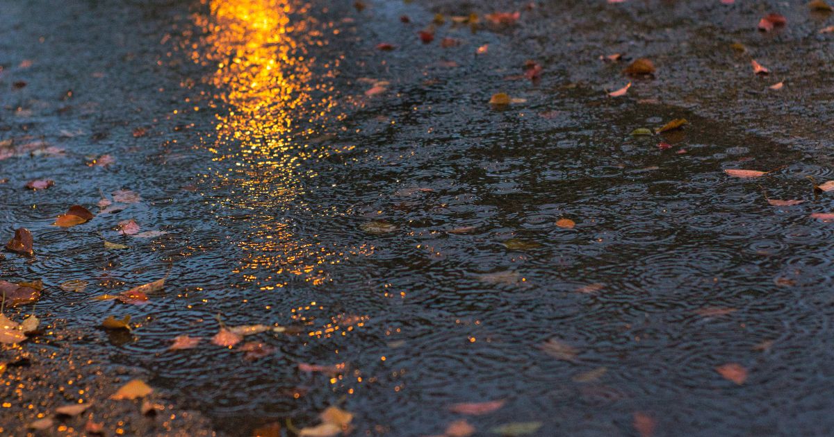 Lluvias en Veracruz cobran primer víctima: joven muere arrastrado por arroyo en Tuxtla