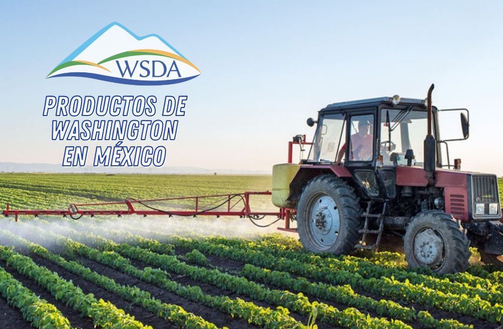 Los mejores productos de Washington llegan a México