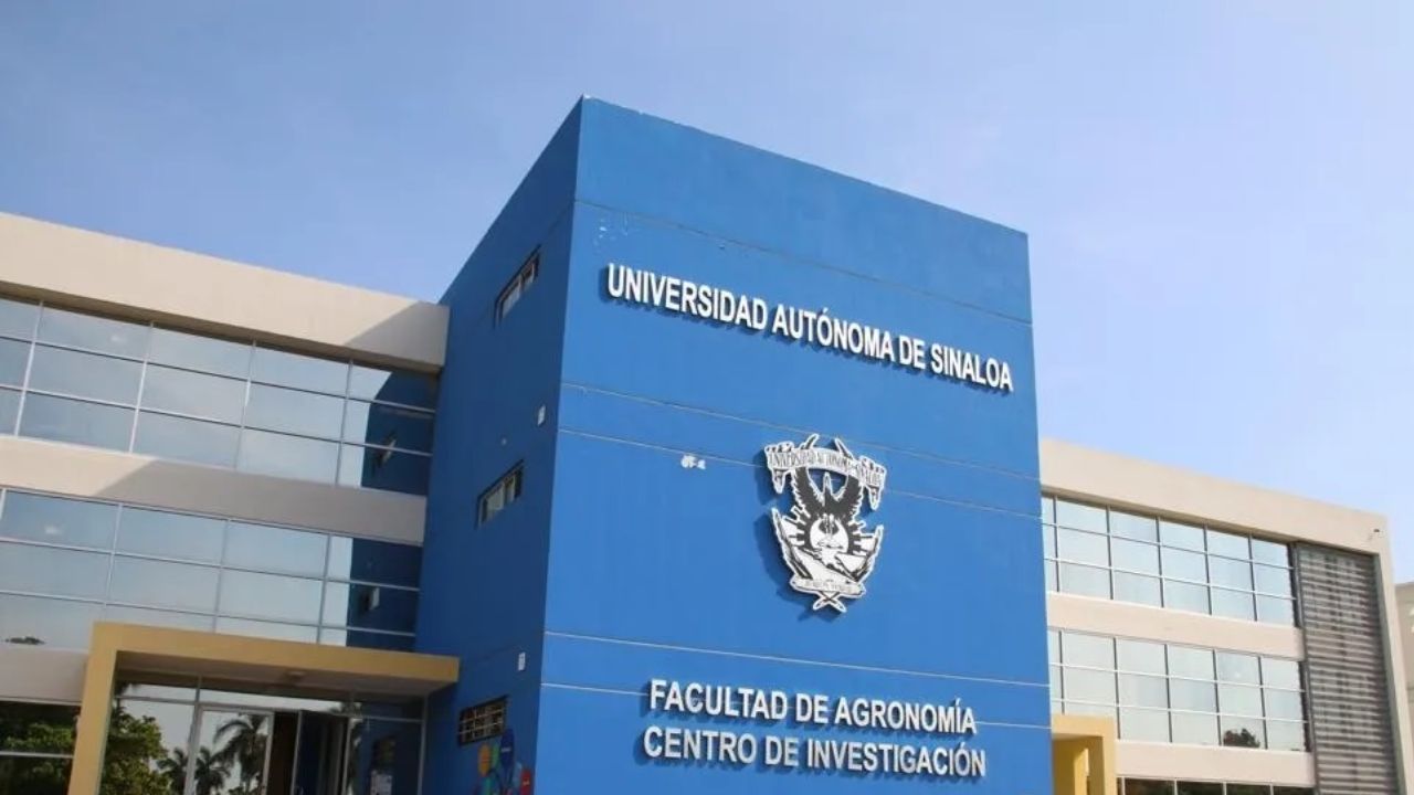 Hallan 5 cuerpos abandonados frente a la Facultad de Agronomía de la UAS en Sinaloa