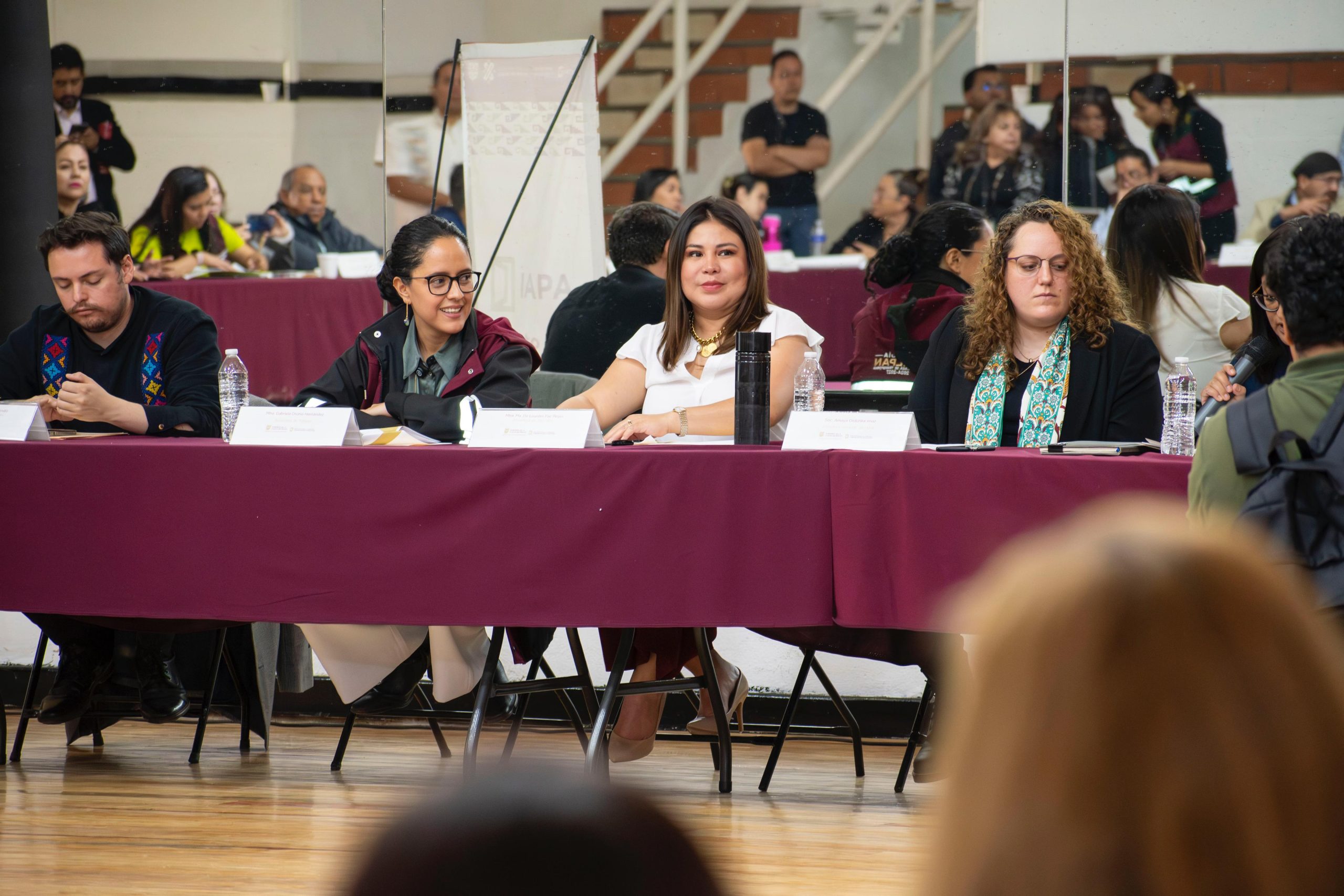 Encabeza Lourdes Paz instalación de Mesa Interinstitucional para prevenir adicciones