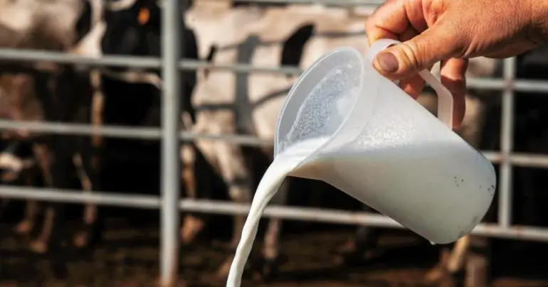 California suspende la distribución de leche cruda tras detección de gripe aviar