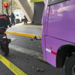 Alcaldía Tlalpan autoriza derribo de árboles en la Universidad Intercontinental