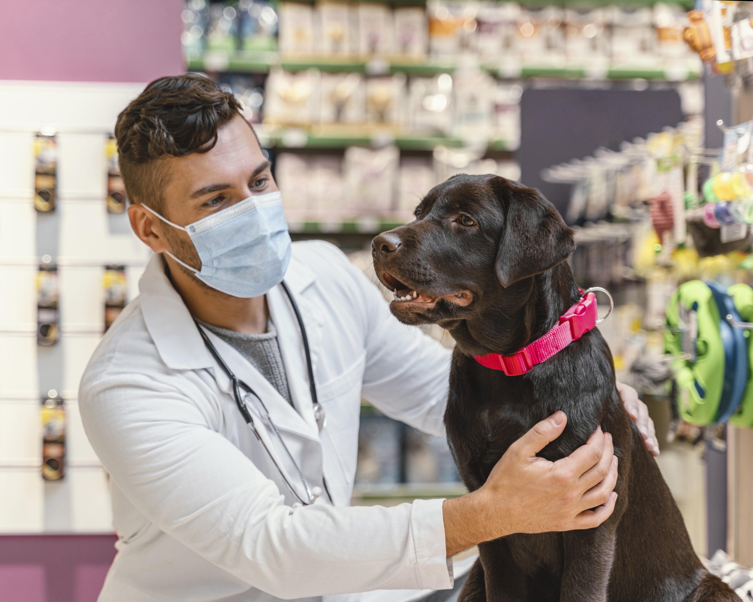 Día Mundial de la Vacunación Animal  Más del 33% de los responsables de animales de compañía en México nunca llevan a sus mascotas al Médico Veterinario