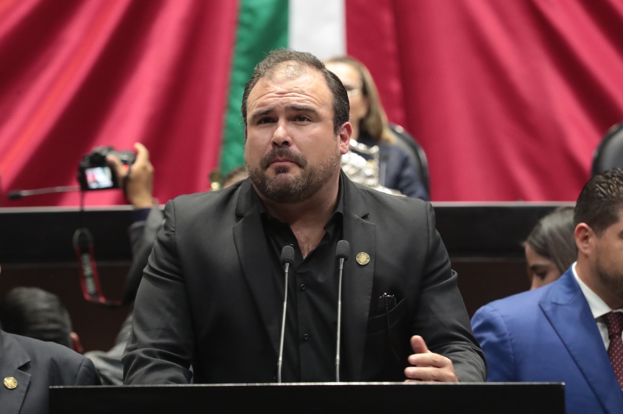 Impulsan reforma para aumentar sanciones penales contra la tala ilegal