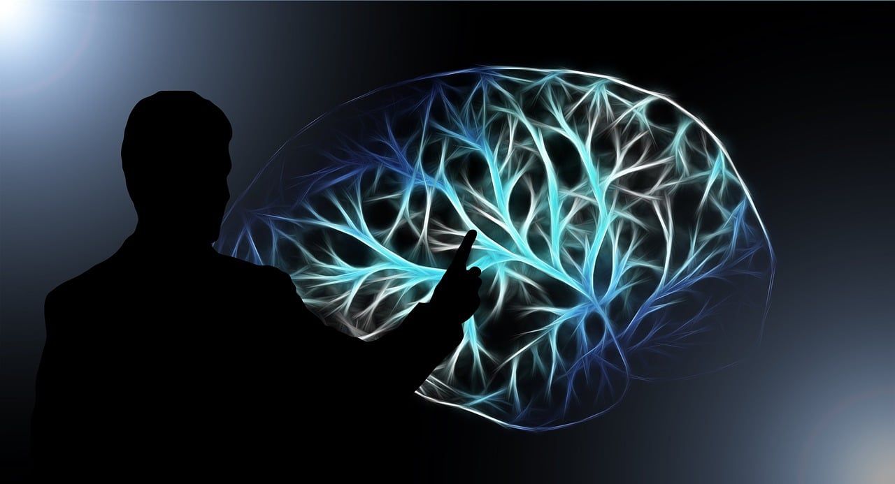 UDIT demuestra con evidencia neurocientífica que hablar más de un idioma modifica el cerebro