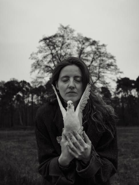 Insight Comunicación & Casa Gaviota: Violencia en pareja y el papel de las empresas en su erradicación